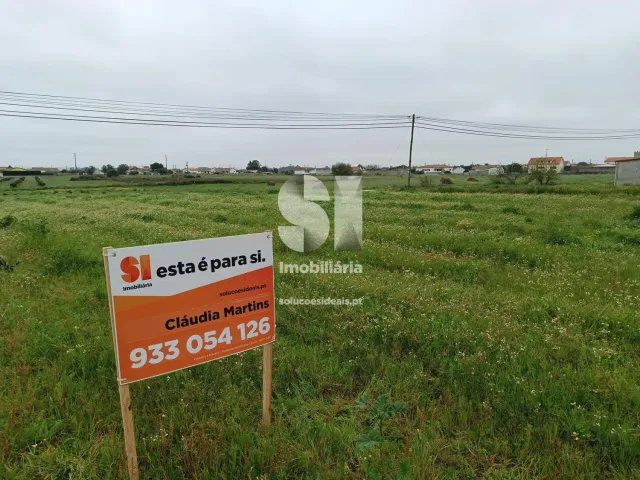 Terreno R�stico T0 - Monte Real, Leiria, Leiria - Miniatura: 9/10