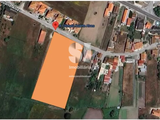 Terreno R�stico T0 - Monte Real, Leiria, Leiria - Miniatura: 10/10