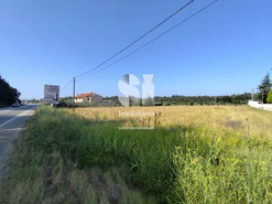 Terreno Urbano T0 - Tamengos, Anadia, Aveiro - Miniatura: 3/8