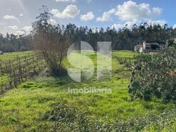 Terreno R�stico T0 - Almagreira, Vila do Porto, Ilha de Santa Maria - Miniatura: 1/9