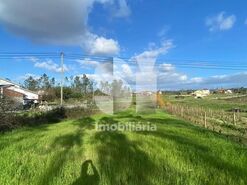 Terreno R�stico T0 - Almagreira, Vila do Porto, Ilha de Santa Maria - Miniatura: 4/9