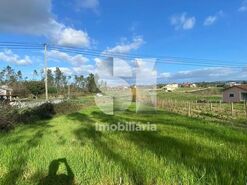 Terreno R�stico T0 - Almagreira, Vila do Porto, Ilha de Santa Maria - Miniatura: 5/9