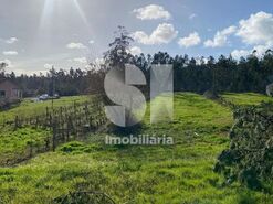 Terreno R�stico T0 - Almagreira, Vila do Porto, Ilha de Santa Maria - Miniatura: 6/9