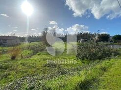 Terreno R�stico T0 - Almagreira, Vila do Porto, Ilha de Santa Maria - Miniatura: 7/9