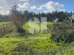 Terreno R�stico T0 - Almagreira, Vila do Porto, Ilha de Santa Maria - Miniatura: 8/9