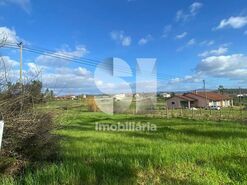 Terreno R�stico T0 - Almagreira, Vila do Porto, Ilha de Santa Maria - Miniatura: 9/9
