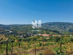 Quinta T4 - Peso da R�gua, Peso da R�gua, Vila Real - Miniatura: 11/26