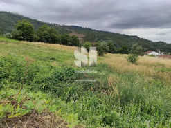 Terreno Urbano T0 - Lous�, Lous�, Coimbra - Miniatura: 17/22