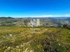 Terreno Urbano T0 - Provesende, Sabrosa, Vila Real - Miniatura: 6/26