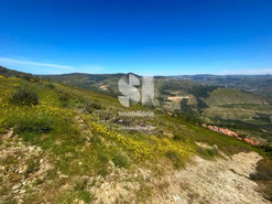 Terreno Urbano T0 - Provesende, Sabrosa, Vila Real - Miniatura: 7/26