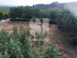 Terreno Urbano T0 - Coja, Arganil, Coimbra - Miniatura: 3/20