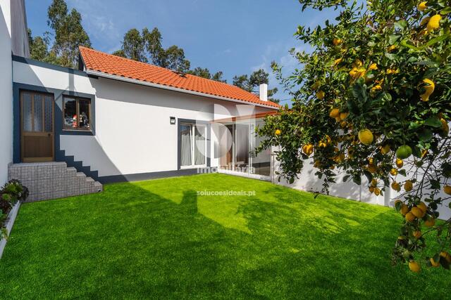 Moradia T4 - Vieira de Leiria, Marinha Grande, Leiria - Imagem grande