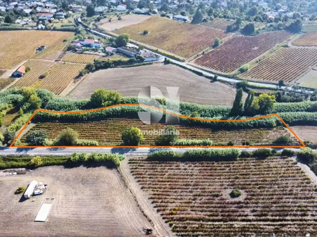 Terreno R�stico T0 - Dois Portos, Torres Vedras, Lisboa - Imagem grande