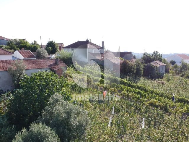 Moradia T5 - S�o Pedro de Alva, Penacova, Coimbra - Imagem grande
