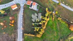 Terreno Rstico - Sabrosa, Sabrosa, Vila Real