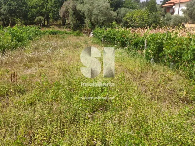Terreno Urbano T0 - Penacova, Penacova, Coimbra