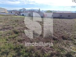 Terreno Urbano T0 - Tamengos, Anadia, Aveiro