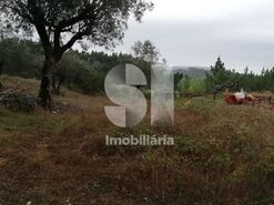 Terreno Urbano T0 - Ega, Condeixa-a-Nova, Coimbra