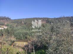 Moradia T2 - Serpins, Lous, Coimbra - Miniatura: 23/29