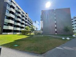Apartamento T1 - Coimbra, Coimbra, Coimbra - Miniatura: 17/19