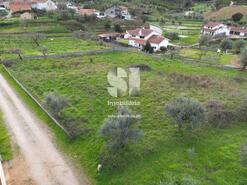 Terreno Rstico - Frimes, Penacova, Coimbra - Miniatura: 5/8