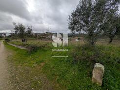 Terreno Rstico - Frimes, Penacova, Coimbra - Miniatura: 7/8