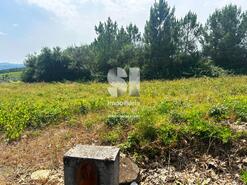 Terreno R�stico - Sabrosa, Sabrosa, Vila Real - Miniatura: 6/13