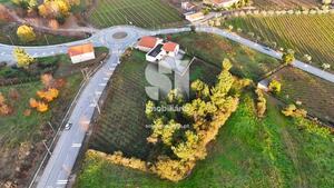 Terreno R�stico - Sabrosa, Sabrosa, Vila Real - Miniatura: 12/13