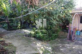 Moradia T3 - Vilarinho do Bairro, Anadia, Aveiro - Miniatura: 4/28