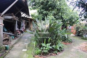 Moradia T3 - Vilarinho do Bairro, Anadia, Aveiro - Miniatura: 26/28