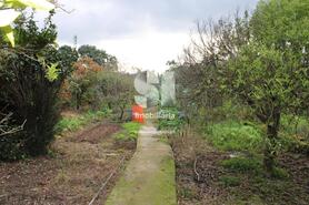 Moradia T3 - Vilarinho do Bairro, Anadia, Aveiro - Miniatura: 27/28