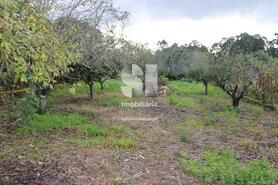 Moradia T3 - Vilarinho do Bairro, Anadia, Aveiro - Miniatura: 28/28