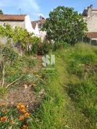 Quinta T2 - Pinheiro de C�ja, T�bua, Coimbra - Miniatura: 3/22