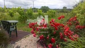 Quinta T2 - Pinheiro de C�ja, T�bua, Coimbra - Miniatura: 4/22