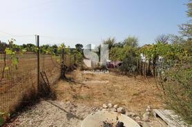 Quinta T2 - Pinheiro de C�ja, T�bua, Coimbra - Miniatura: 15/22