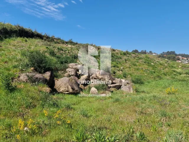 Terreno Urbano T0 - TERMAS DE S�O VICENTE, Penafiel, Porto - Miniatura: 12/49