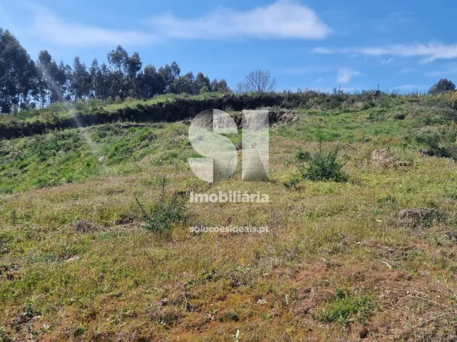 Terreno Urbano T0 - TERMAS DE S�O VICENTE, Penafiel, Porto - Miniatura: 25/49
