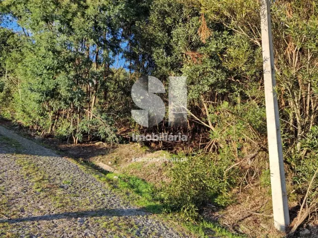 Terreno Urbano T0 - Baltar, Paredes, Porto - Miniatura: 2/30