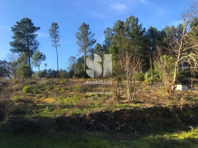 Terreno Urbano T0 - Andr�es, Vila Real, Vila Real - Miniatura: 7/12