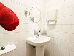 Loja T0 - Viseu, Viseu, Viseu - Miniatura: 3/7