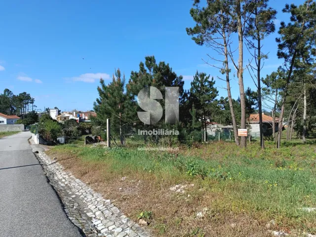 Terreno Urbano T0 - Vieira de Leiria, Marinha Grande, Leiria - Miniatura: 5/7