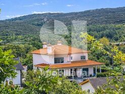 Moradia T4 - Bodiosa, Viseu, Viseu - Miniatura: 3/19