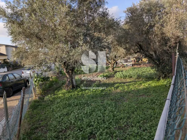 Terreno Urbano T0 - Arganil, Arganil, Coimbra - Miniatura: 4/11