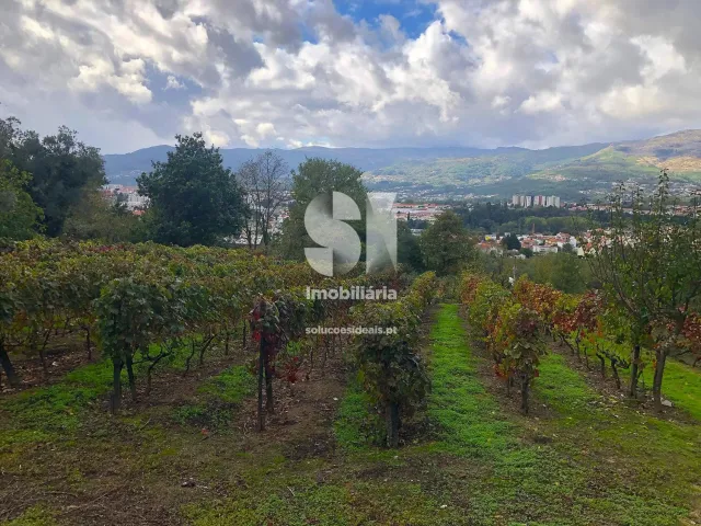 Terreno Urbano T0 - Mateus, Vila Real, Vila Real - Miniatura: 5/26