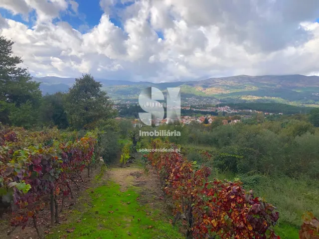 Terreno Urbano T0 - Mateus, Vila Real, Vila Real - Miniatura: 7/26