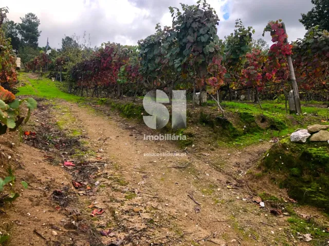 Terreno Urbano T0 - Mateus, Vila Real, Vila Real - Miniatura: 12/26