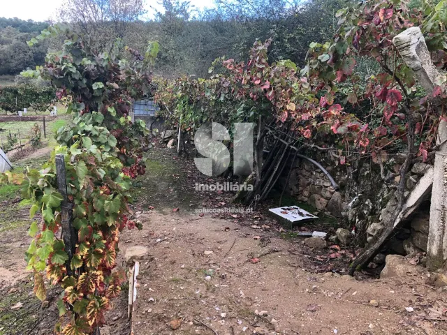 Terreno Urbano T0 - Mateus, Vila Real, Vila Real - Miniatura: 13/26