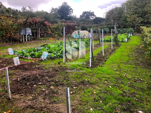 Terreno Urbano T0 - Mateus, Vila Real, Vila Real - Miniatura: 17/26