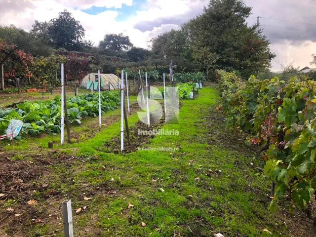 Terreno Urbano T0 - Mateus, Vila Real, Vila Real - Miniatura: 18/26