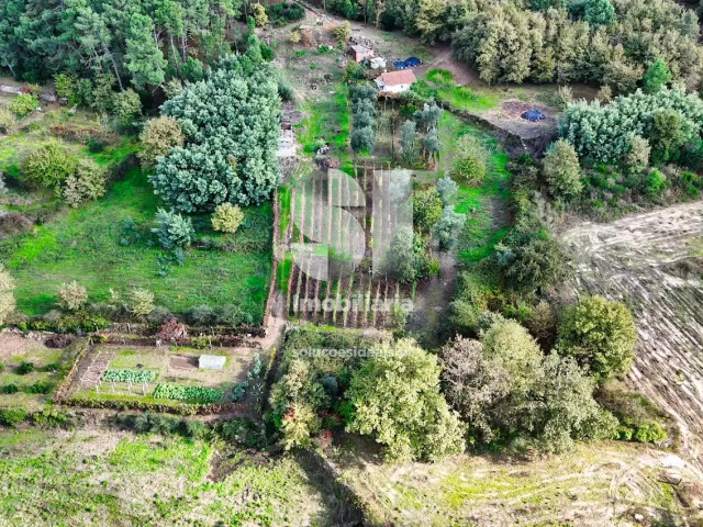 Terreno Urbano T0 - Mateus, Vila Real, Vila Real - Miniatura: 24/26